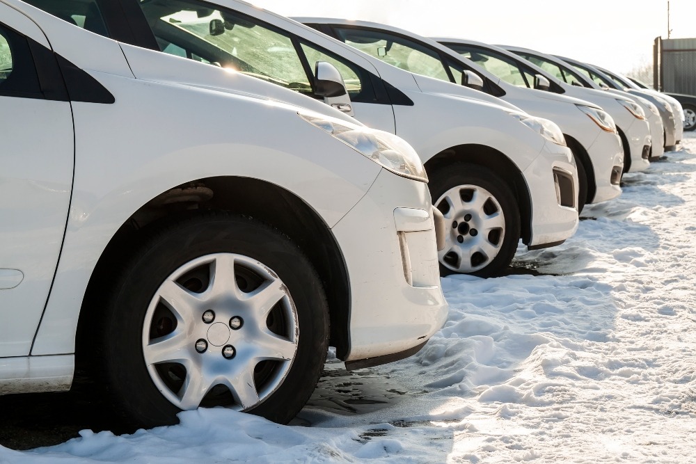 How Commercial Fleet Rental Can Help Your Business Thrive