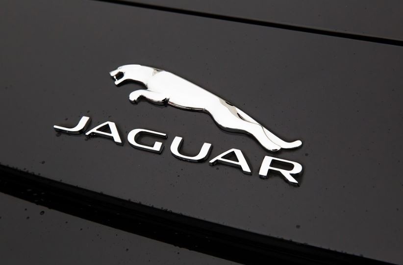 The-Jumping-Jaguar-symbol-which-originated-from-1945-is-still-used-in-Jaguars-current-logo.